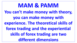 can not make money with theory can make money with experience en